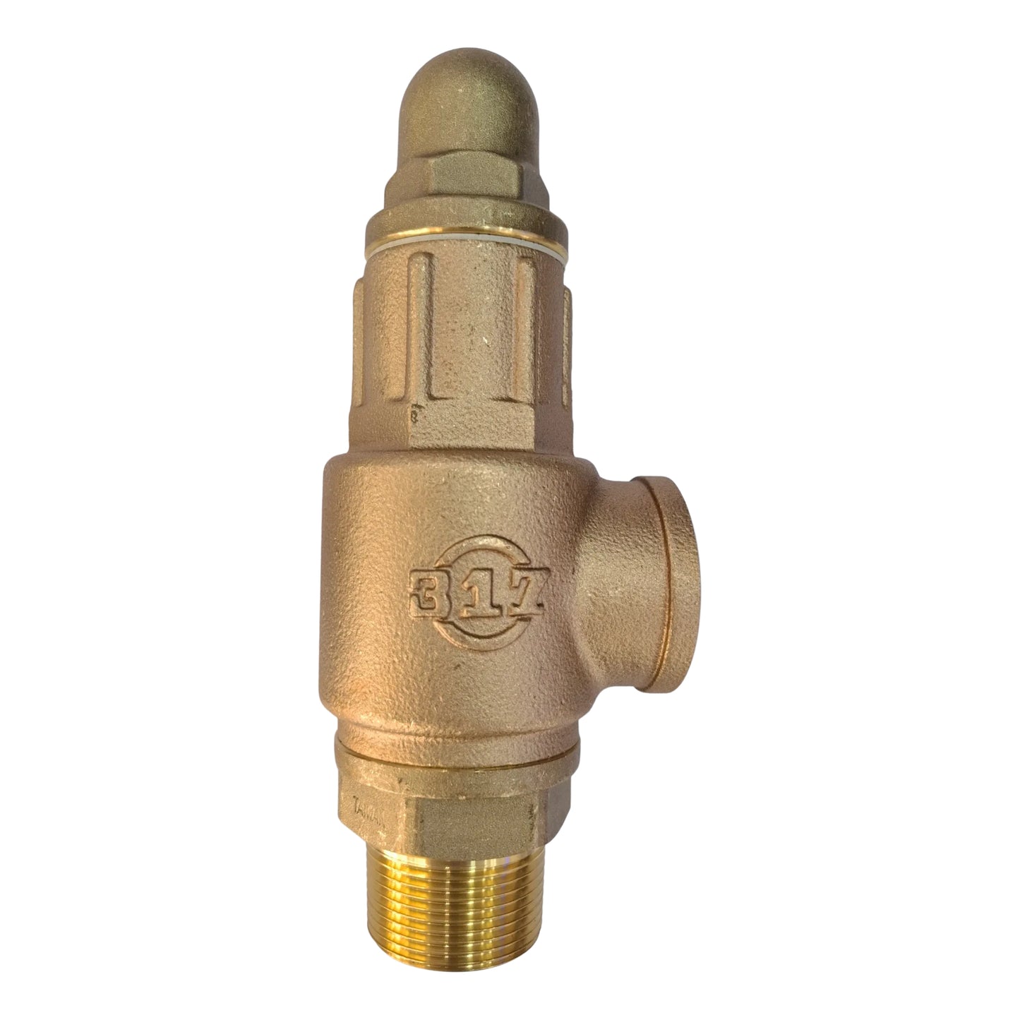 Brass valve with a visible brand logo on a white background