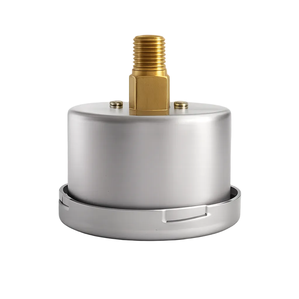 Angstrom Capsule Pressure Gauge Side View on white background 