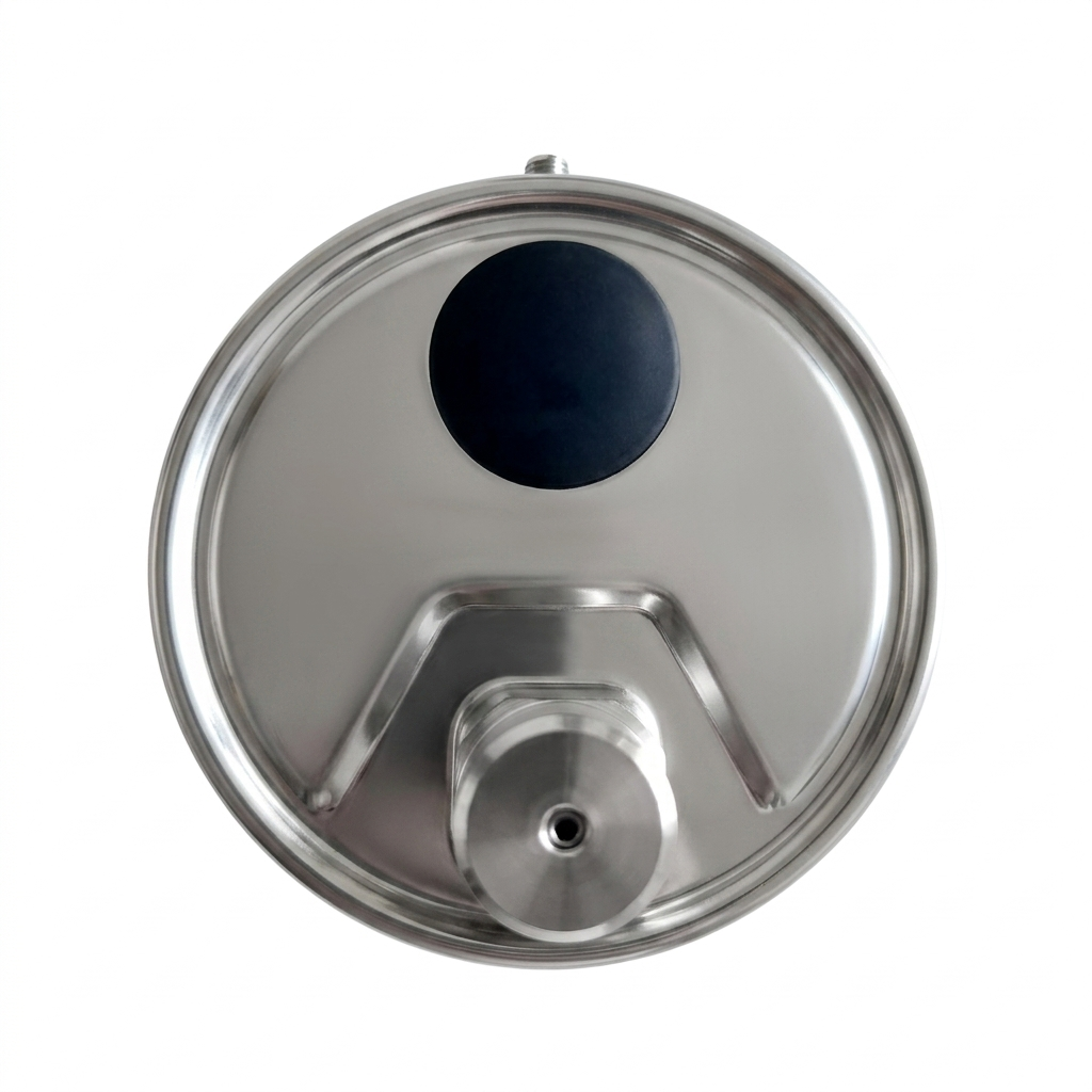 Angstrom Pressure Gauge Dial 100mm Pressure lower back mount rear view on white background